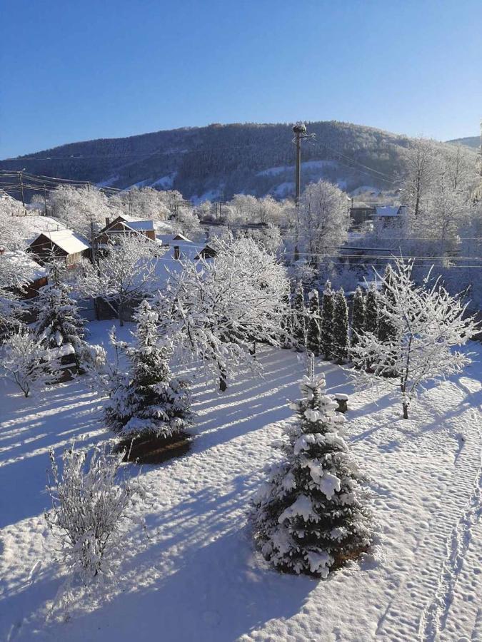 Kryvyi Brid Βίλα Γιαρέμτσε Εξωτερικό φωτογραφία